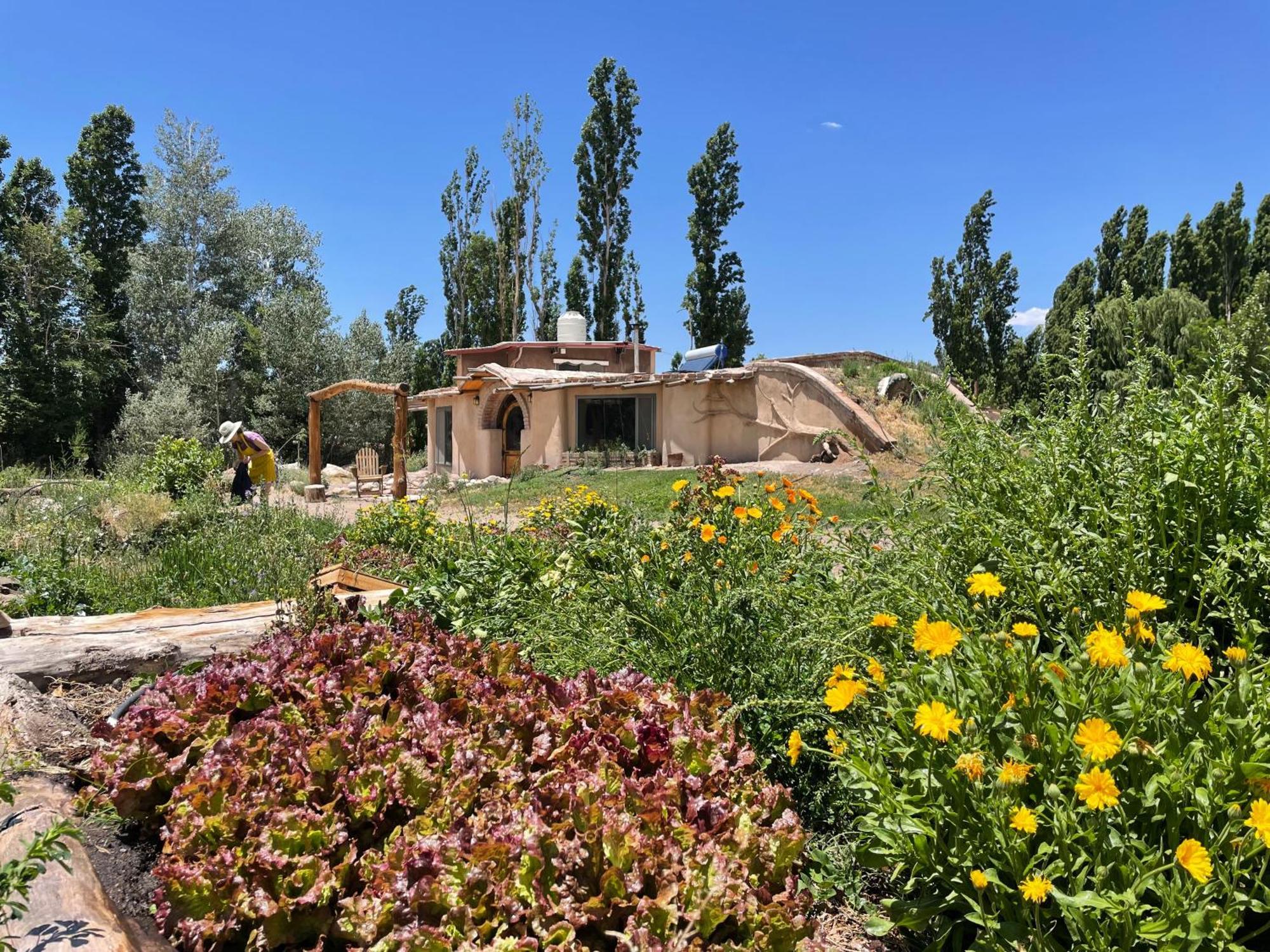 فندق La Comarca Del Jarillal Las Flores  المظهر الخارجي الصورة